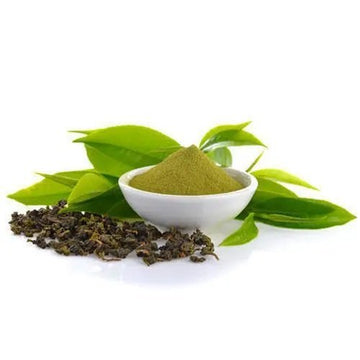green-tea-extract-500x500