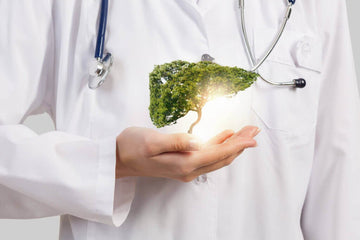 liver-is-a-vital-organ-1024x683