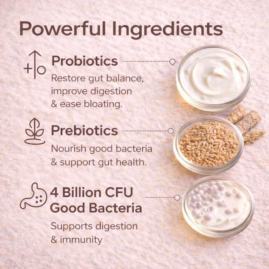 Pre & Probiotic Tablets | 60 Tablets