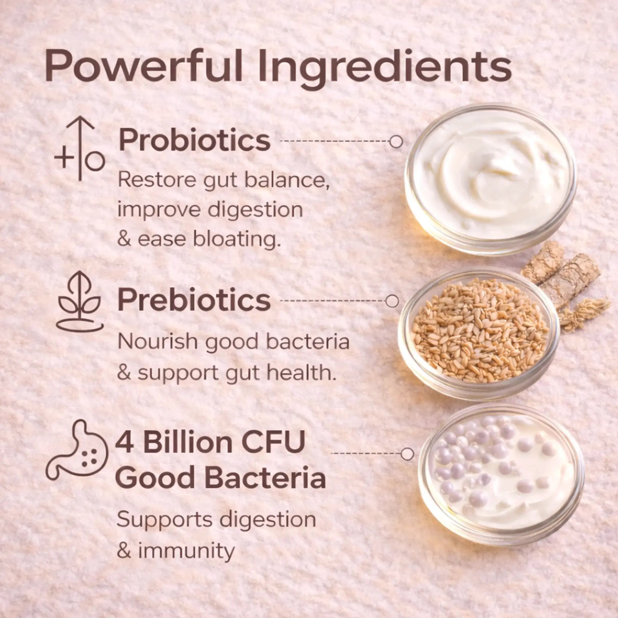 Pre & Probiotic Tablets | 60 Tablets