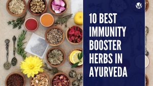 best immunity booster herbs in Ayurveda