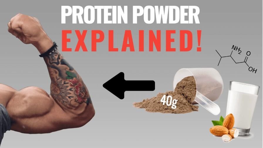 How do protein powders build muscle?