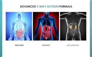 Digestive Enzyme supplements 